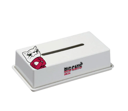 ボックスティッシュ