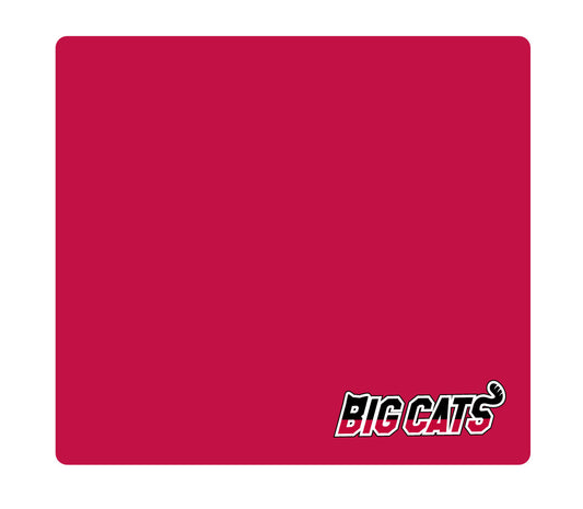 レジャーシート