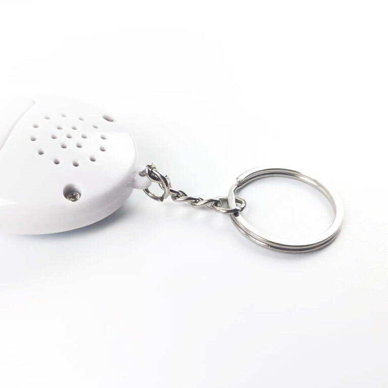 ボイスキーホルダー