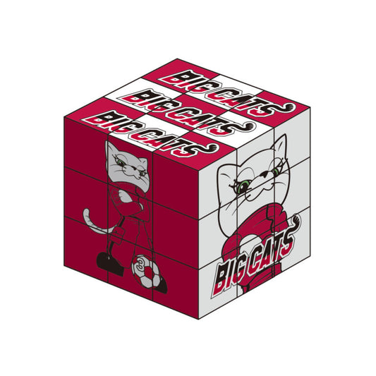 六面立体パズル